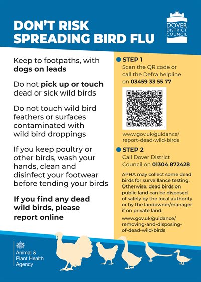 bird flu poster