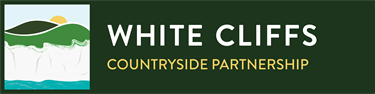 WCCP
