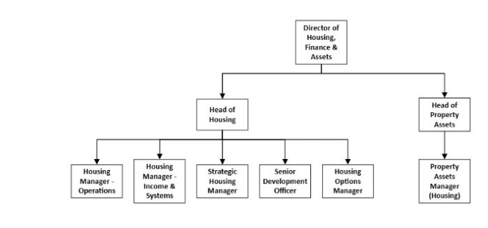 Housing management structure: 
Director of housing, finance and assets
Head of housing
Housing manager - operations
Housing manager - income and systems
Strategic housing manager
Senior development officer
Housing options manager
Head of property assets
Property assets manager (housing)
